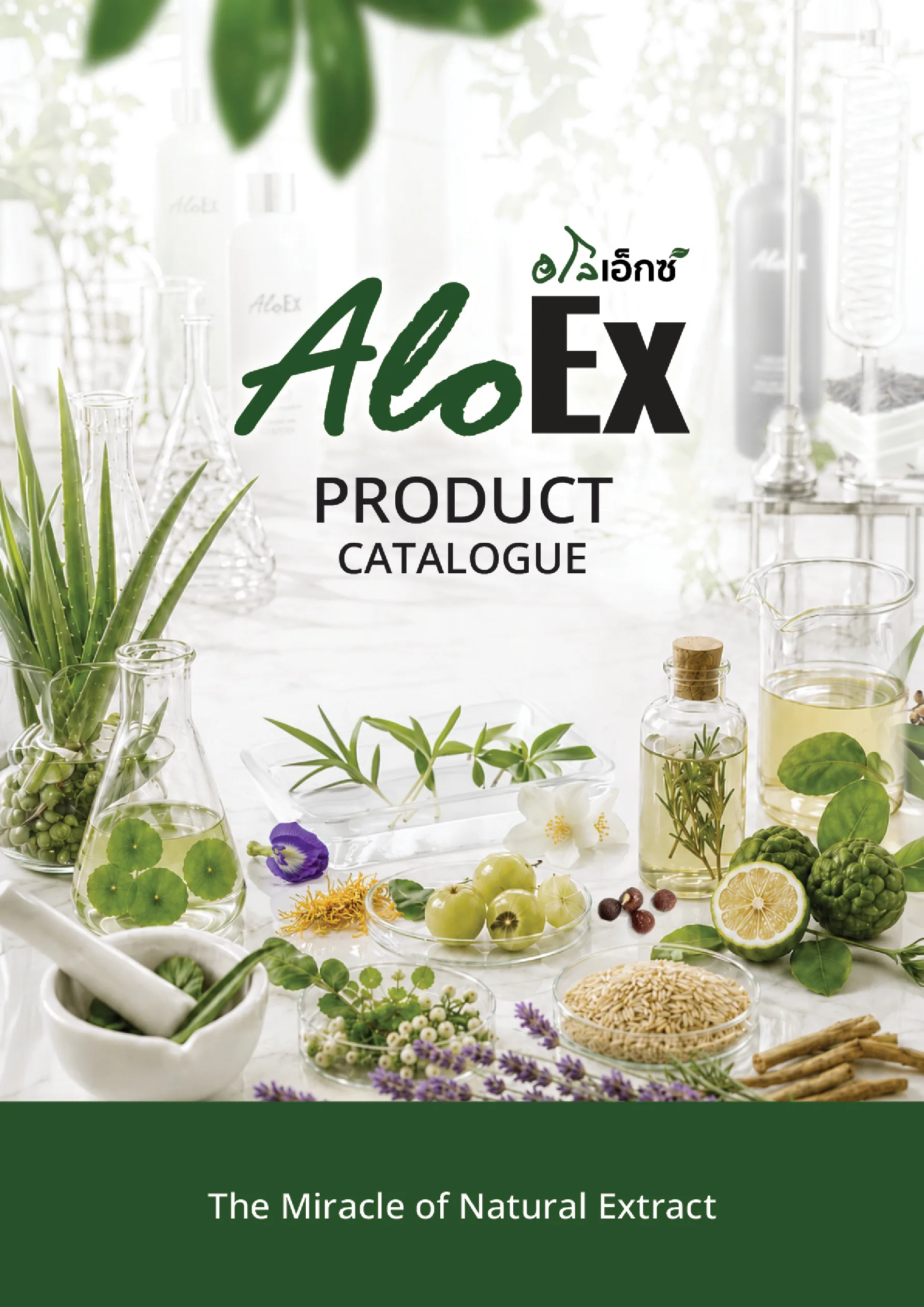 แคตตาล็อก AloEx 2026 — หน้า 1