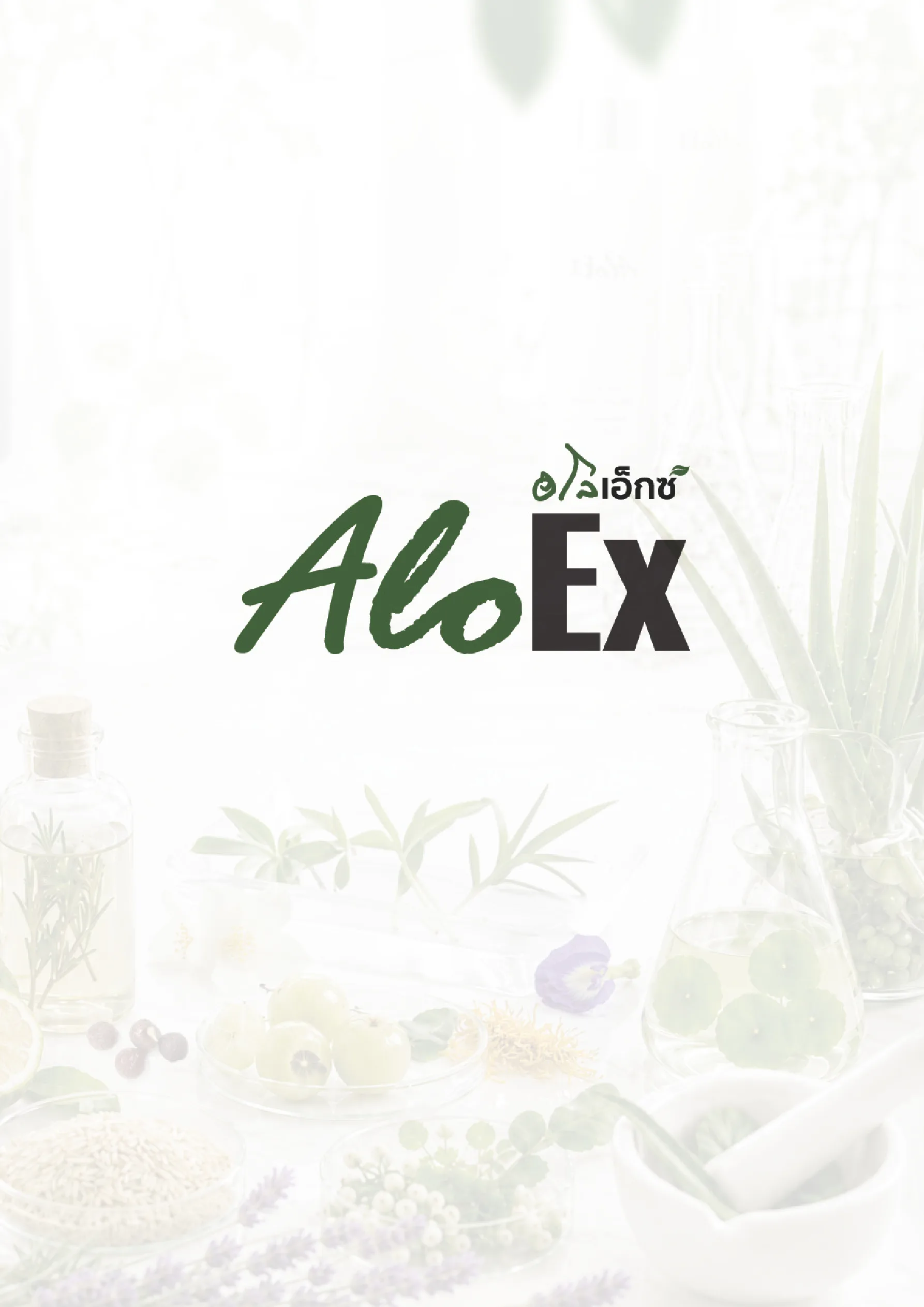 แคตตาล็อก AloEx 2026 — หน้า 28