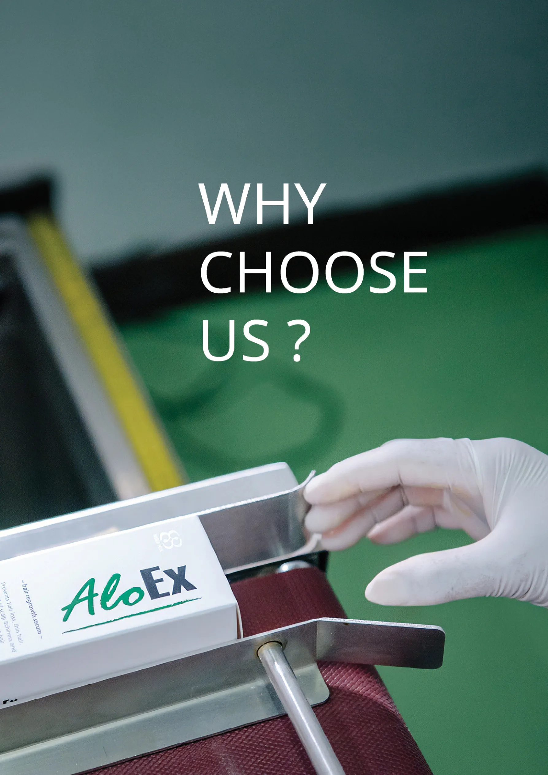 แคตตาล็อก AloEx 2026 — หน้า 31