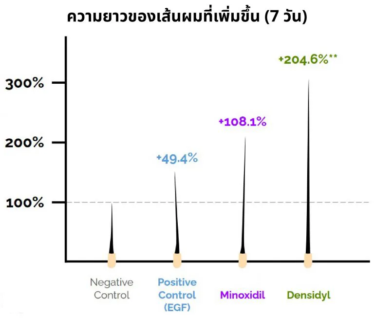 กราฟความยาวผมจาก Densidyl