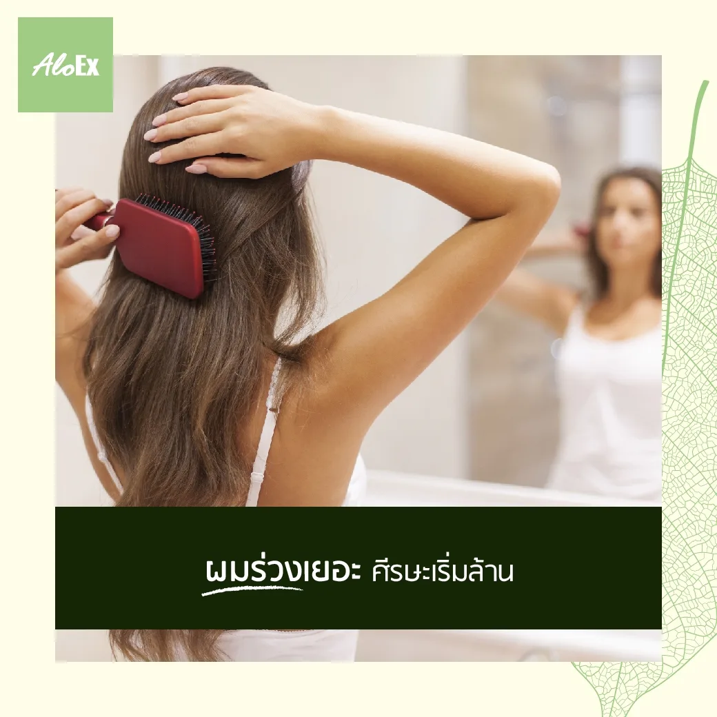 Heavy shedding, balding starts