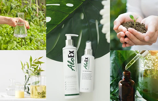 9 great reasons why AloEx is friendly to the planet