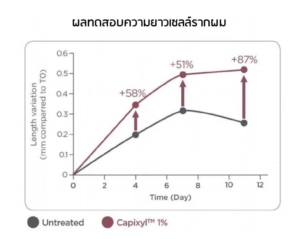 测试结果 —— Capixyl 毛囊细胞长度