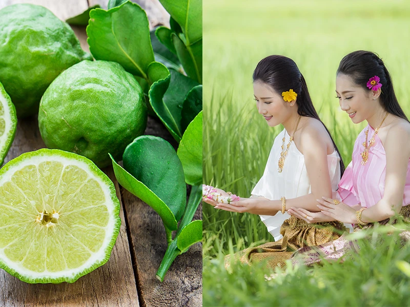 Kaffir Lime