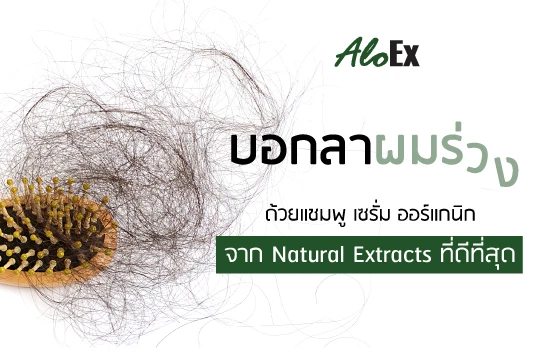 用顶级有机洗发水与精华液告别脱发