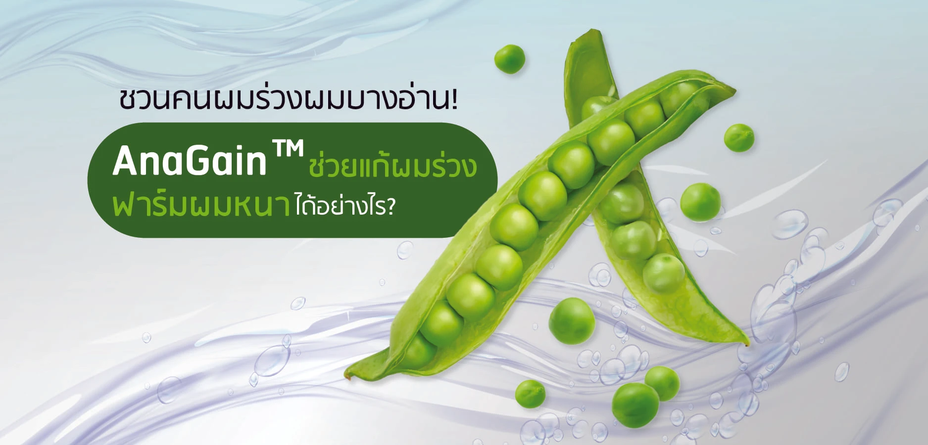 AnaGain — the extract that reduces hair loss and adds thickness