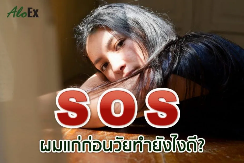 SOS —— 头发未老先衰怎么办?