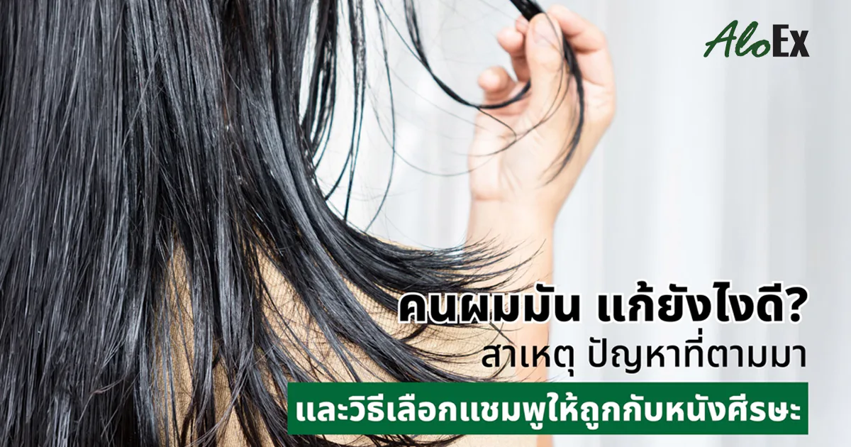 ဆံပင်ဆီပြန်တာ — ဘယ်လိုလုပ်ရမလဲ? အကြောင်းရင်း၊ ဆက်လက်ဖြစ်ပေါ်လာသော ပြဿနာများနှင့် သင့်ဦးရေပြားအတွက် မှန်ကန်သော ရှန်ပူရွေးချယ်နည်း