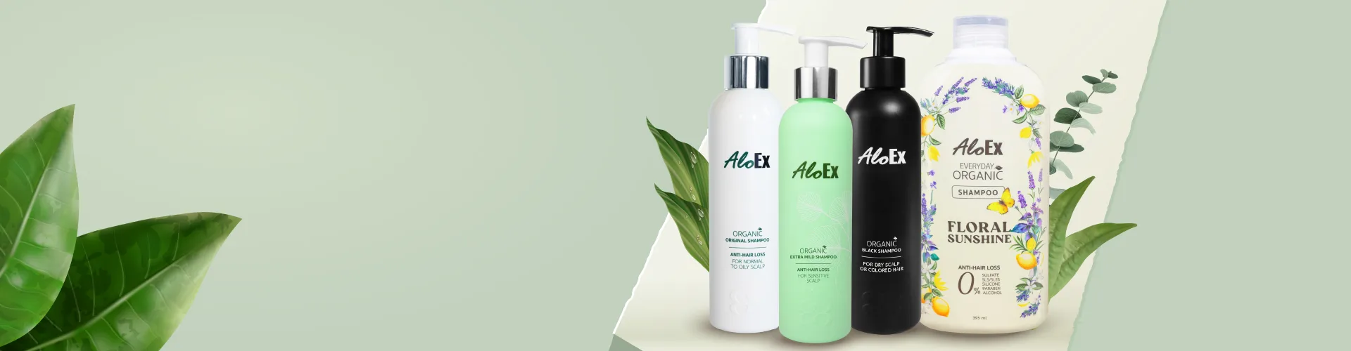 แชมพู AloEx สูตรไหนเหมาะกับผมคุณ?