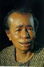 ငမ်တေဖို (ထိုင်းရိုးရာ ဆေးဖက်ဝင်အမည်)