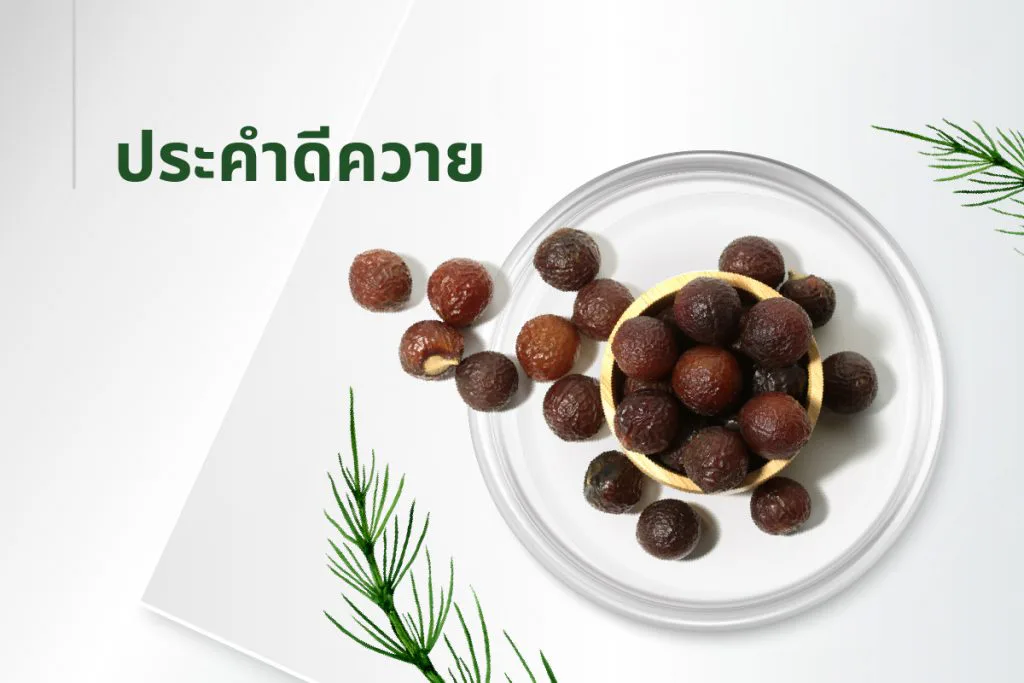 အနှစ်ဓာတ် ၁၅ မျိုး — ကင်ပွန်းချဉ်သီး