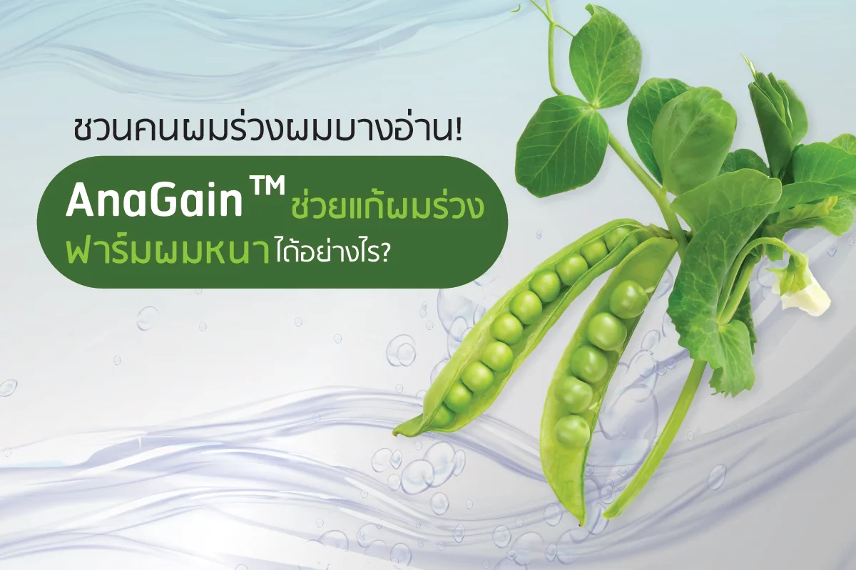 ชวนคนผมร่วงผมบางอ่าน! AnaGain™ ช่วยแก้ผมร่วง ฟาร์มผมหนาได้อย่างไร?