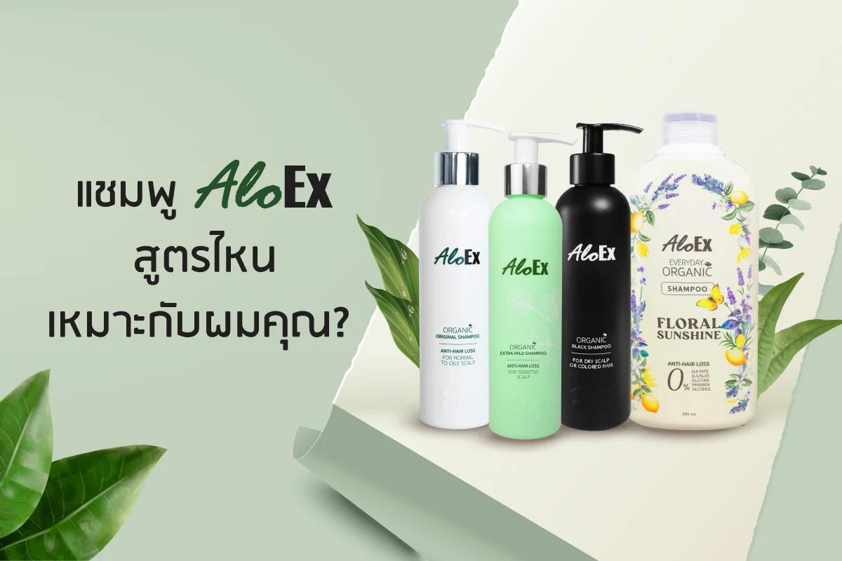 เทียบให้ชัด! แชมพูลดผมร่วง AloEx สูตรไหนที่ใช่สำหรับศีรษะและเส้นผมคุณ