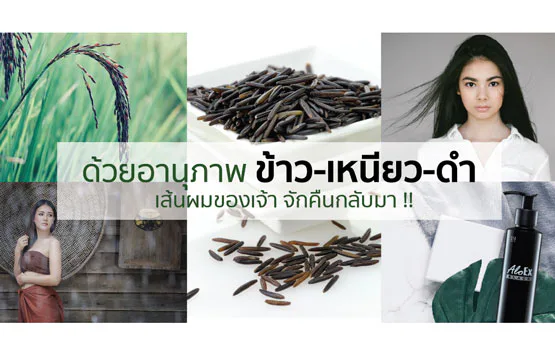 By the power of 'Black Sticky Rice', thy hair shall return!