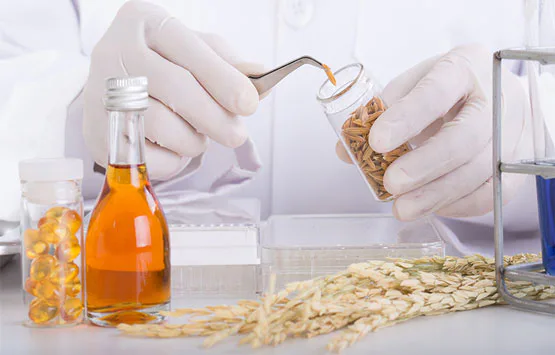 Brown rice and good grains — a hair-loss fix