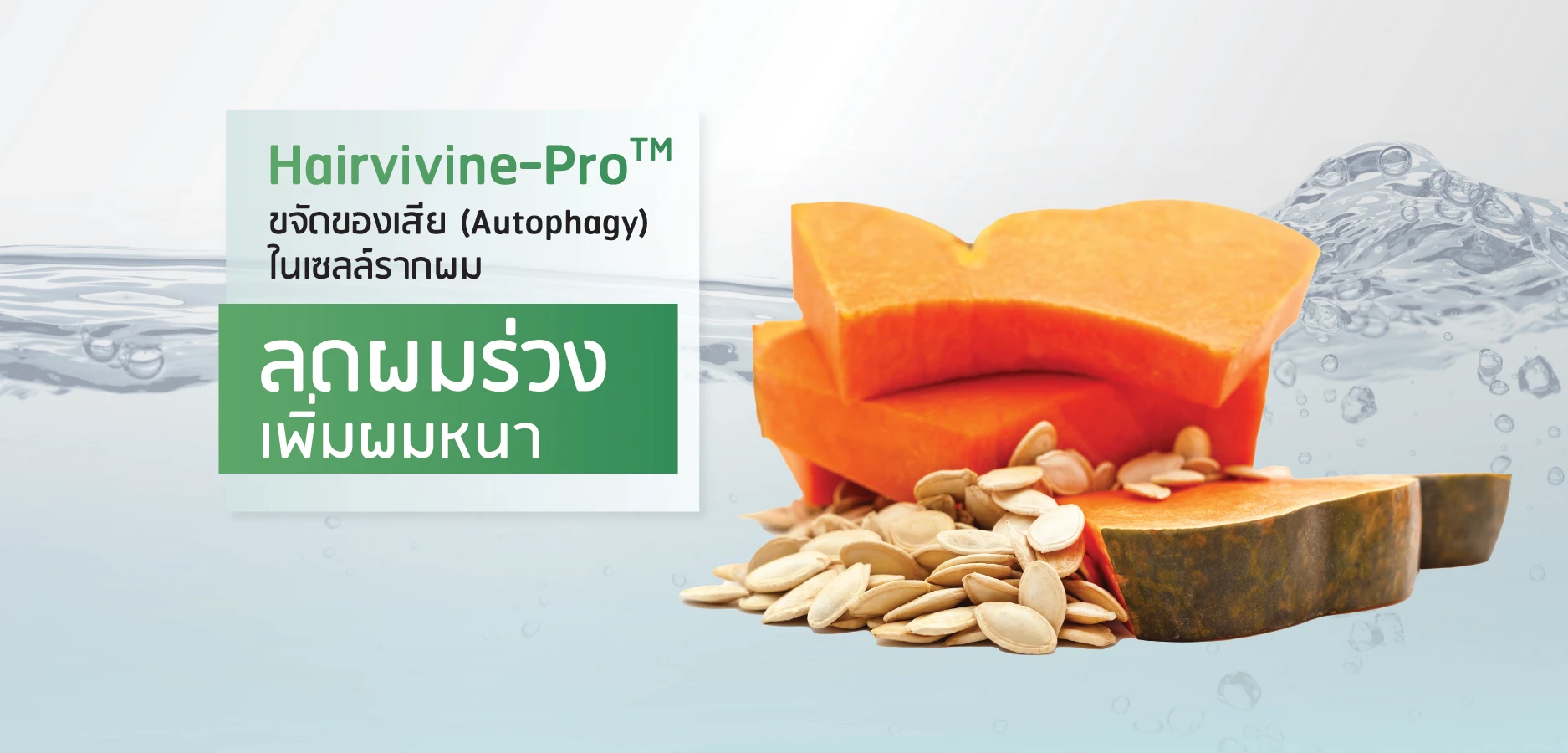 Hairvivine-ProTM ขจัดของเสีย (Autophagy) ในเซลล์รากผม ลดผมร่วง เพิ่มผมหนา