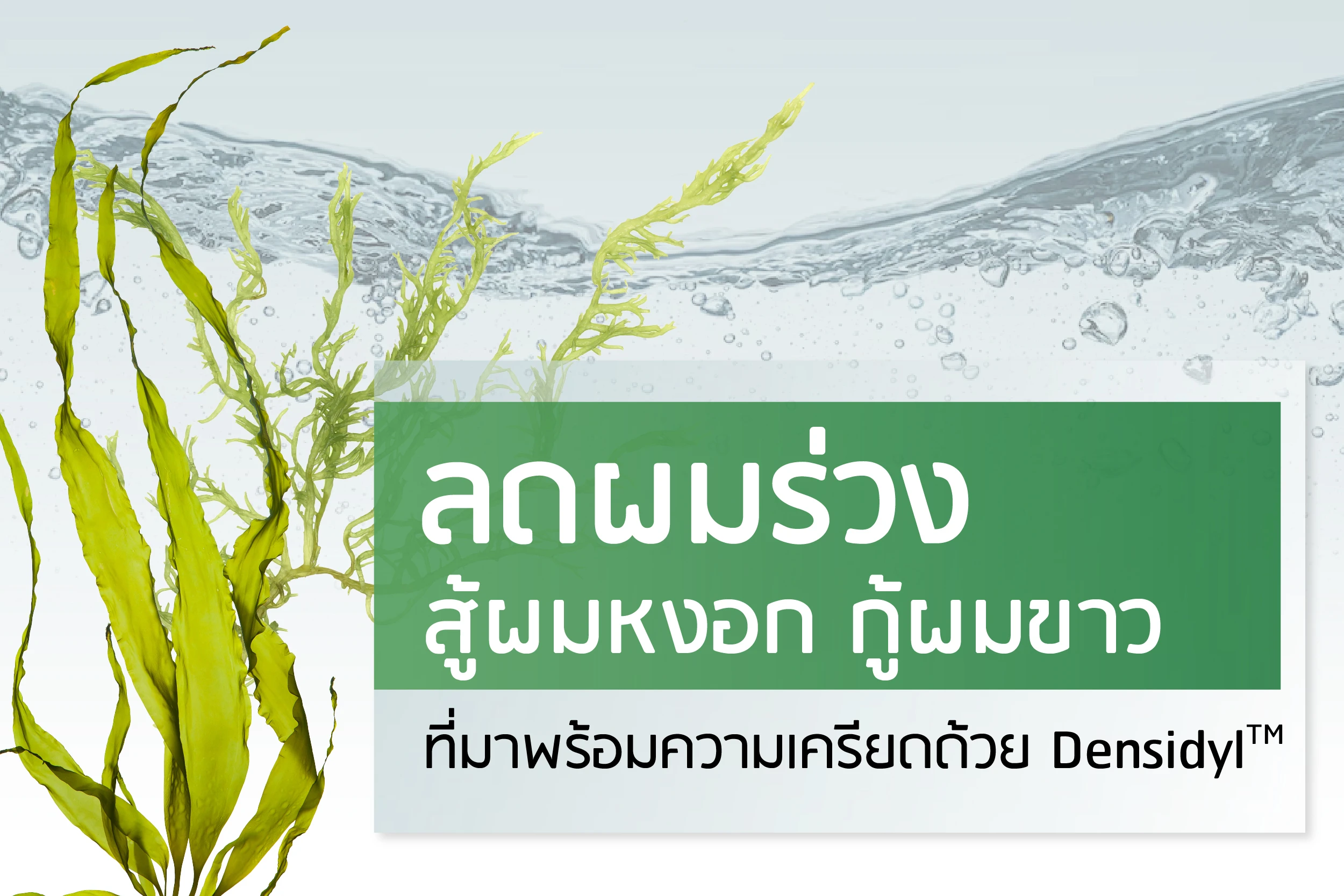 Reduce hair loss, combat gray hair, and restore white hair with Densidyl, which also alleviates stress.