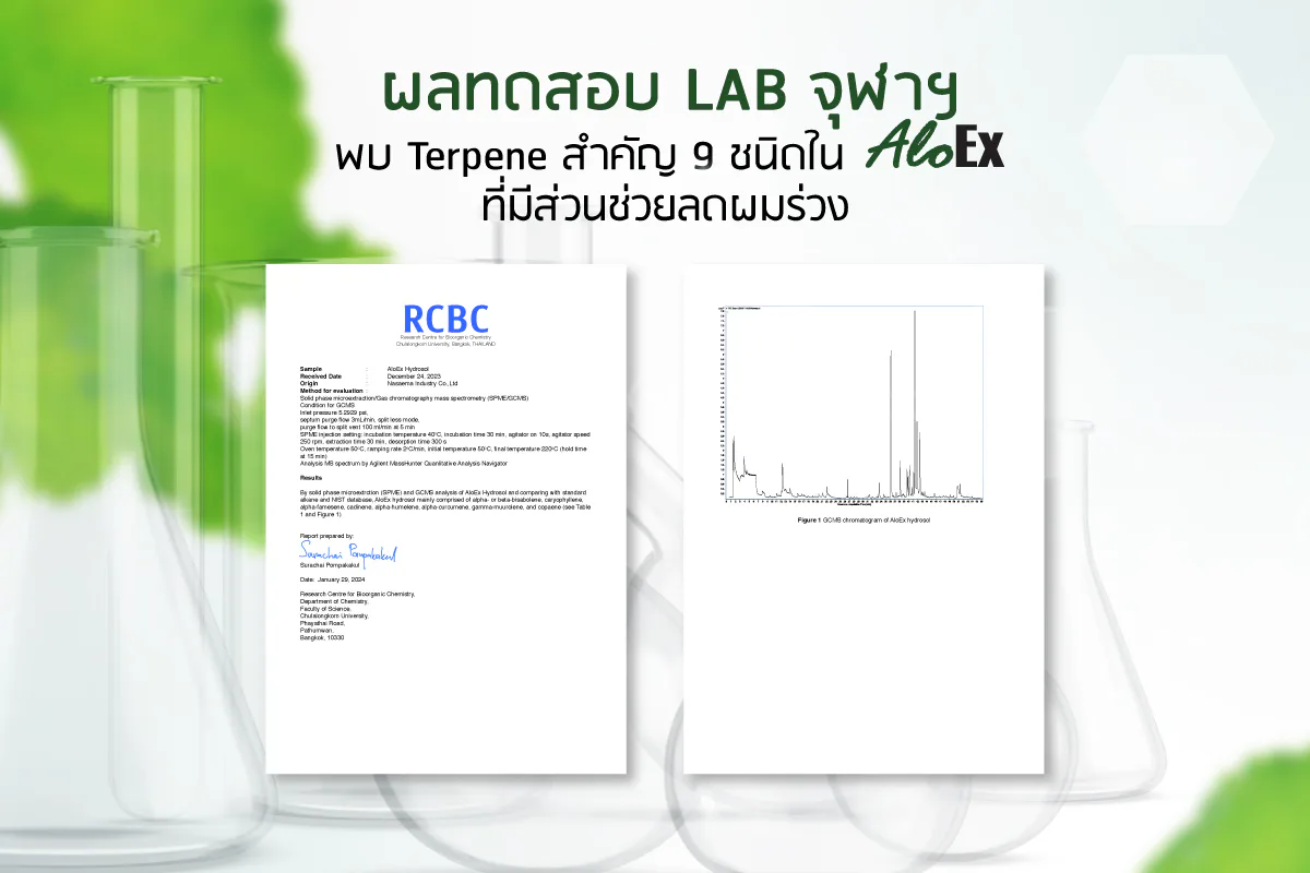 Terpene 帮助减少脱发的测试结果