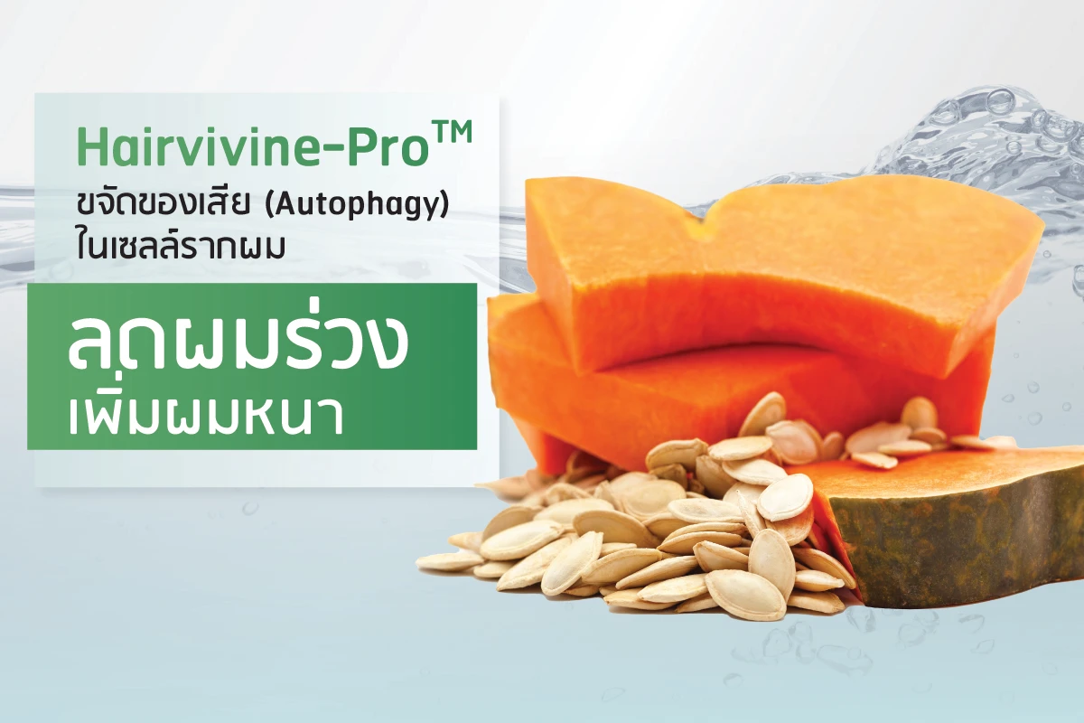 Hairvivine-Pro™ eliminates waste (autophagy) in hair follicle cells, reduces hair loss, and increases hair thickness.