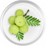ဆီးဖြူသီး (Amla)