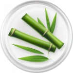 ဝါး
