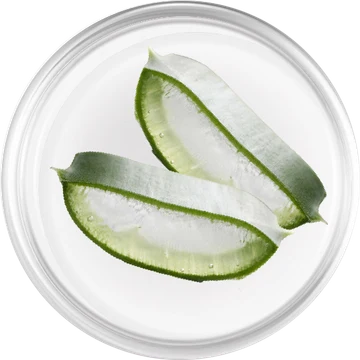 Aloe vera