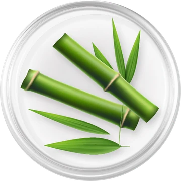 Bamboo