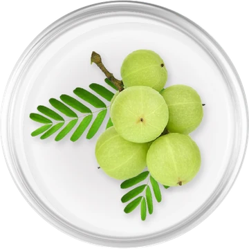 Indian gooseberry