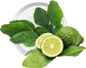 Kaffir lime leaves