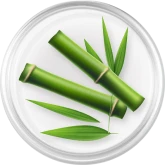 Bamboo