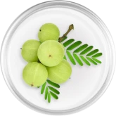 Indian gooseberry