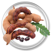 Tamarind