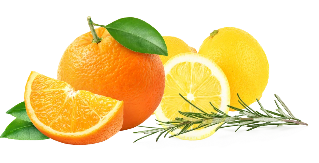 Orange, lemon and rosemary - the natural scent of Sunny Squeeze