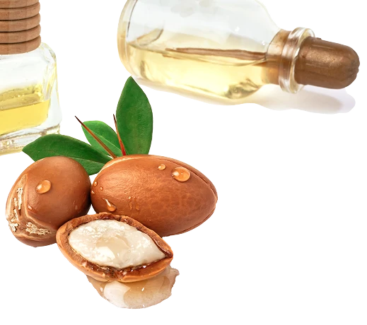 Argan Oil ဆီ