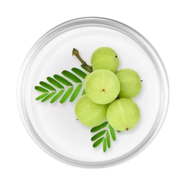 มะขามป้อม