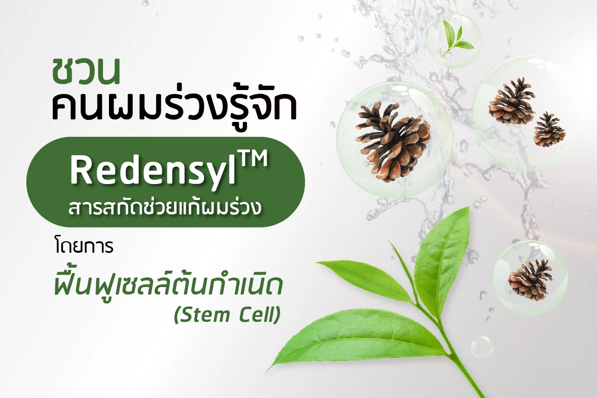 Introducing Redensyl™, an extract that helps combat hair loss by revitalizing stem cells.