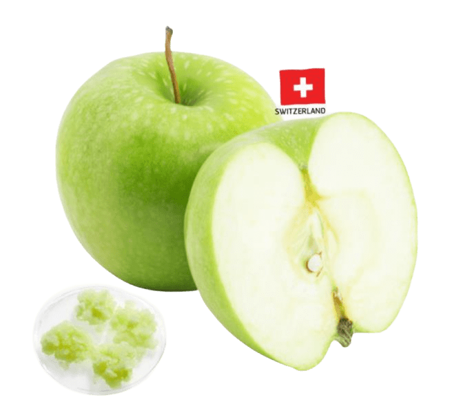 apple stem cell