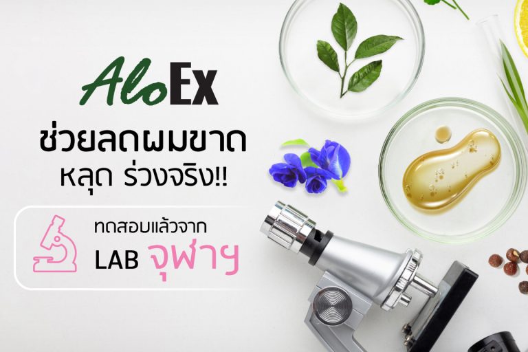 สมุนไพรไทยลดผมร่วงได้ยังไง AloEx ส่งทดสอบ LAB จุฬาฯ พบประโยชน์สมุนไพรไทยมากมายที่ช่วยลดผมร่วงได้จริง