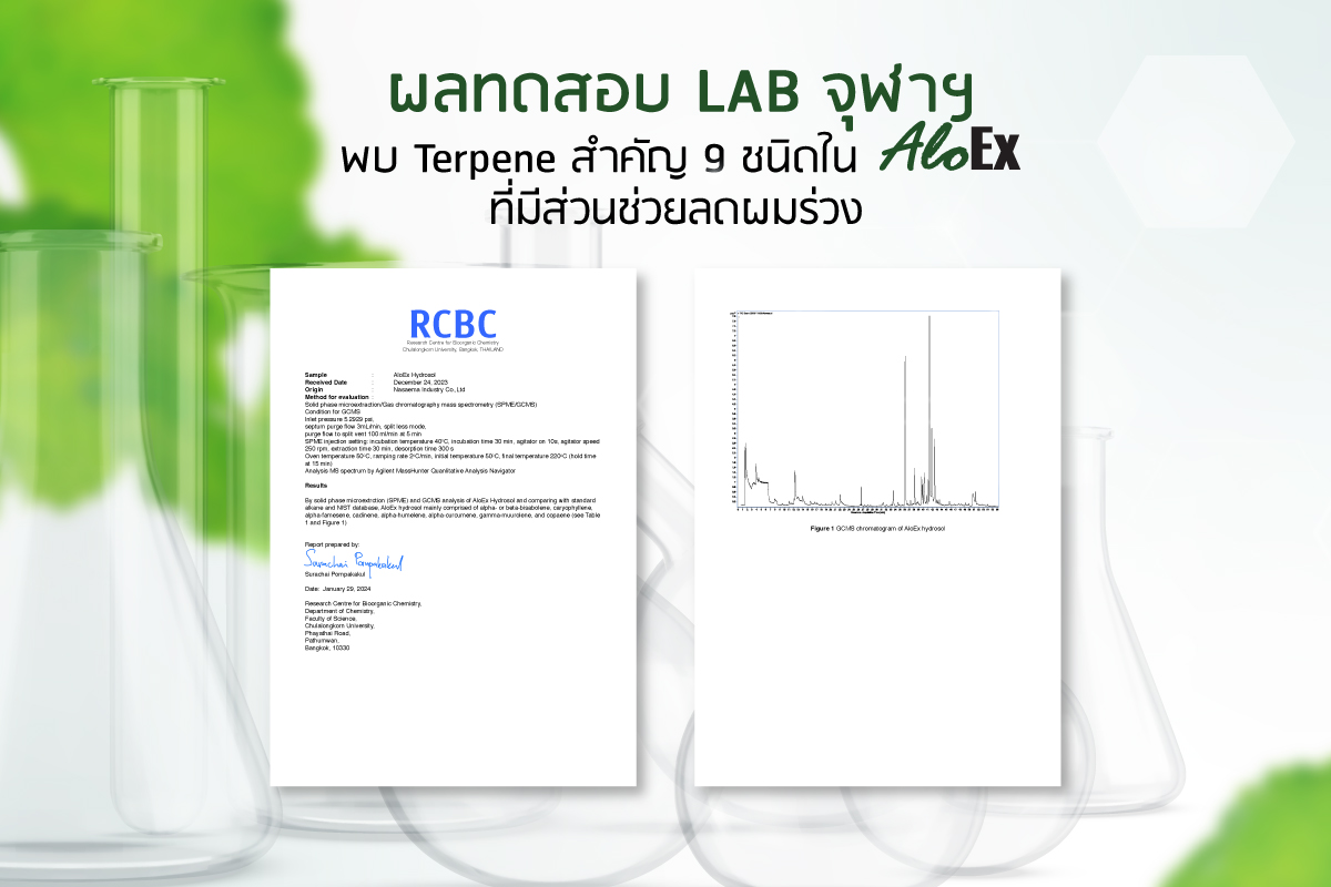 ผลทดสอบ Terpene ช่วยลดผมร่วง