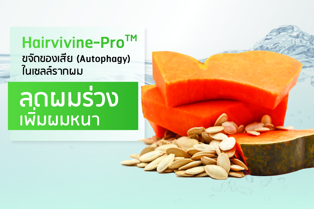 Hairvivine-ProTM ขจัดของเสีย (Autophagy) ในเซลล์รากผม ลดผมร่วง เพิ่มผมหนา