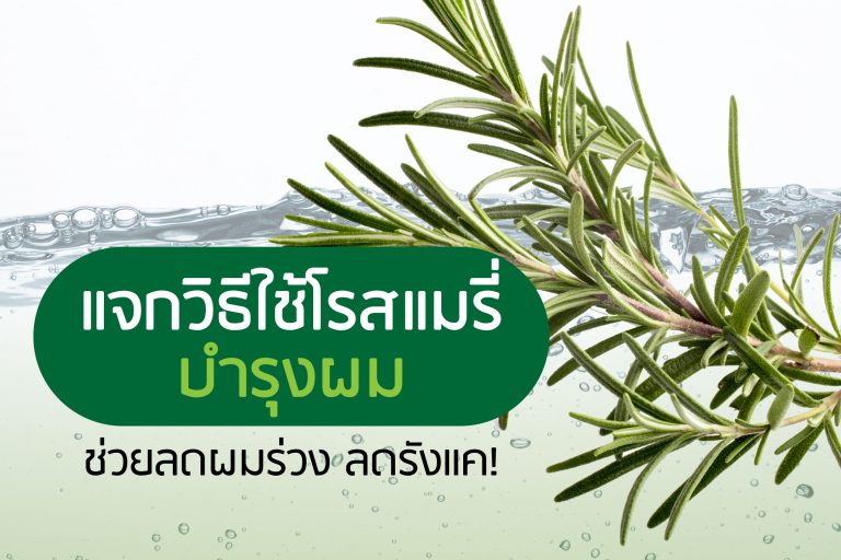 แจกวิธีใช้โรสแมรี่บำรุงผม