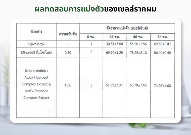 ผลทดสอบการแบ่งตัวของเซลล์รากผล