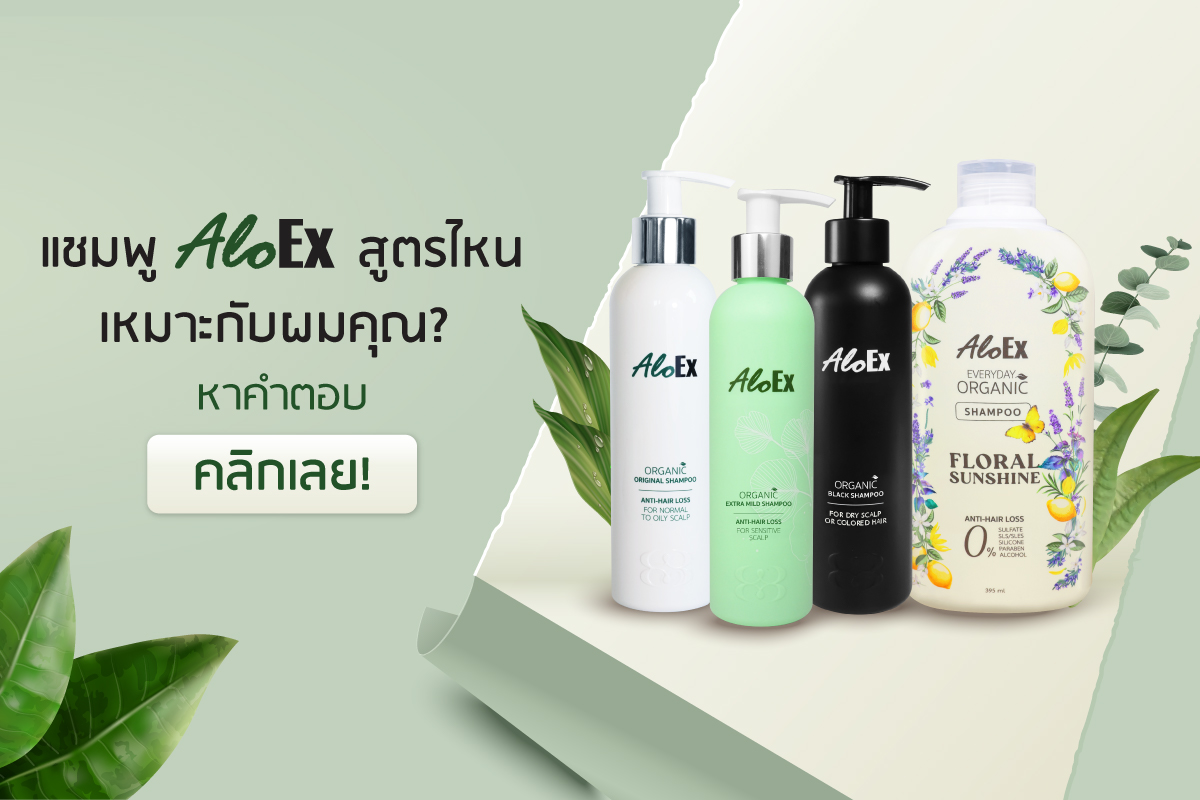 เทียบให้ชัด! แชมพูลดผมร่วง AloEx สูตรไหนที่ใช่สำหรับศีรษะและเส้นผมคุณ